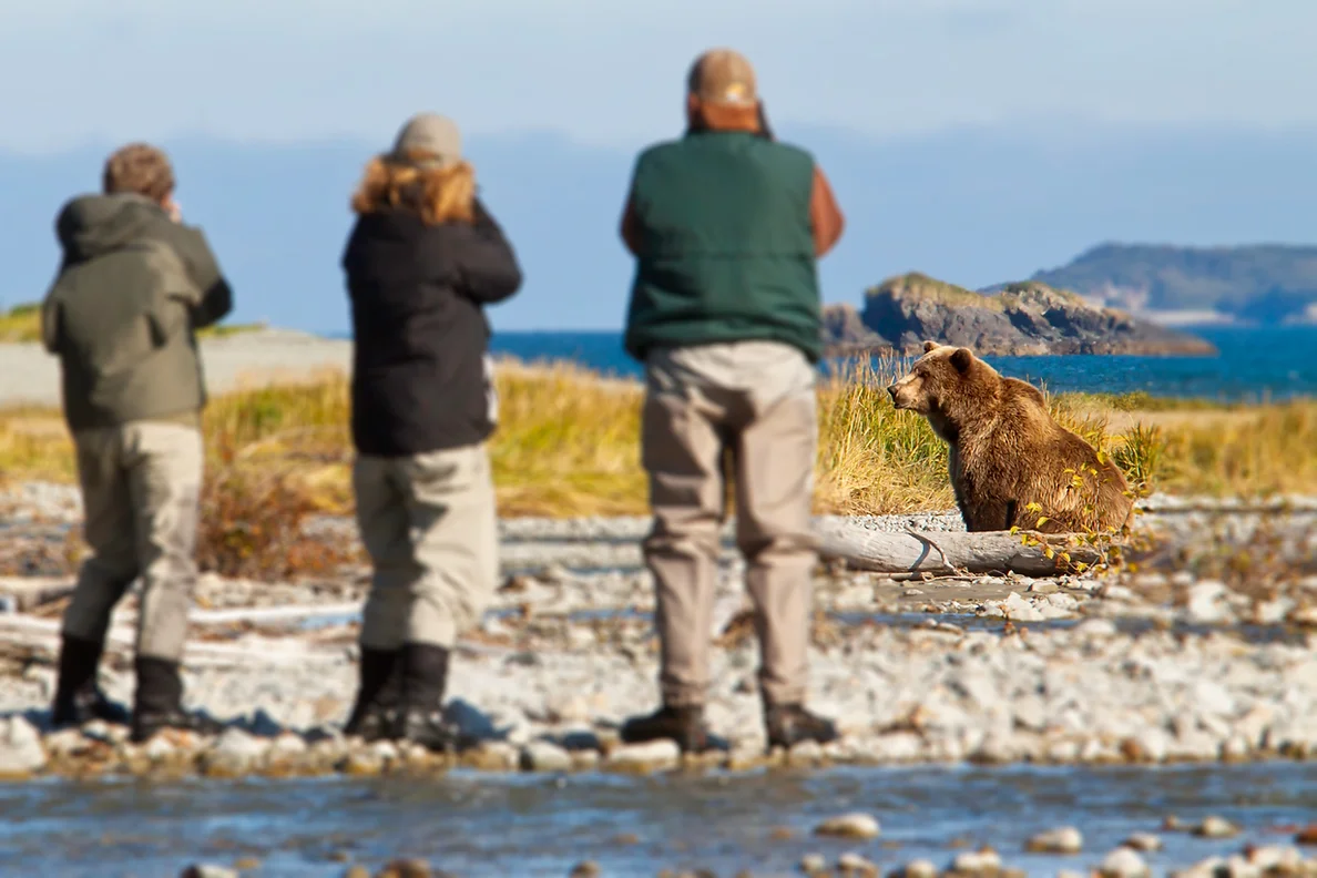Katmai Wilderness Lodge   Bear Viewing in Alaska Wildlife Guides in Alaska