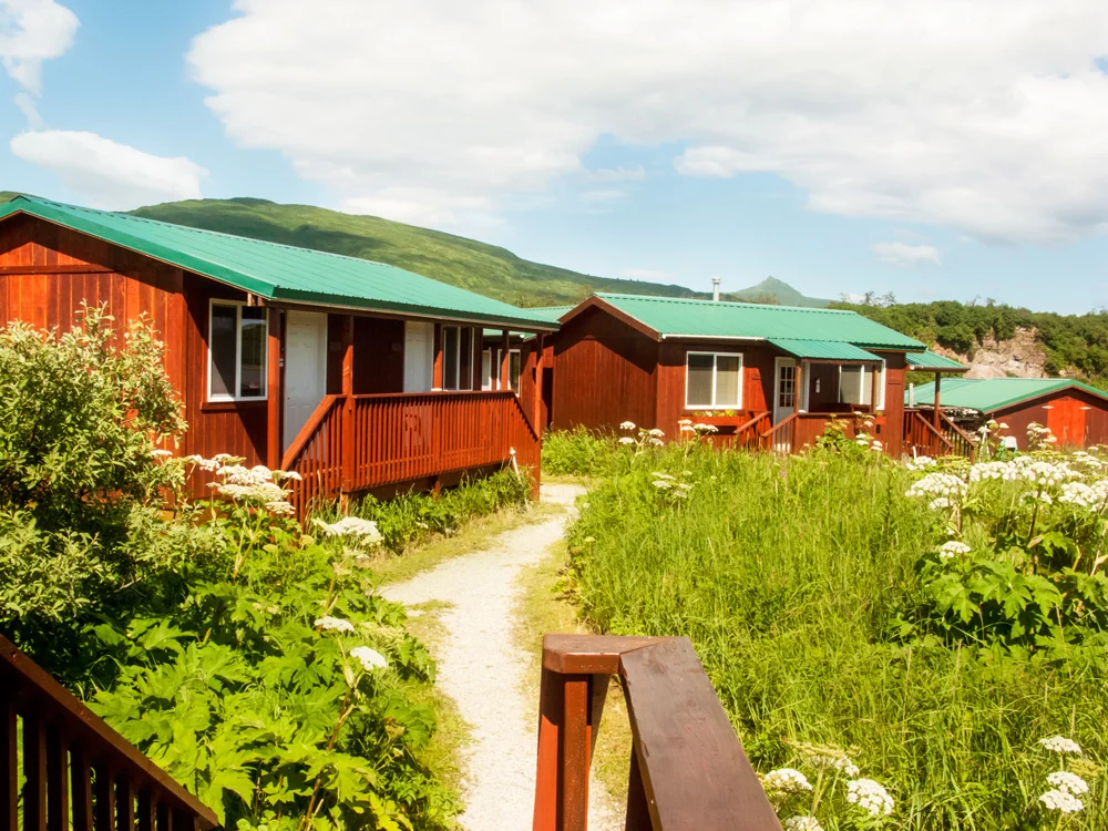 Katmai Wilderness Lodge   Bear Viewing in Alaska Wildlife Guides in Alaska