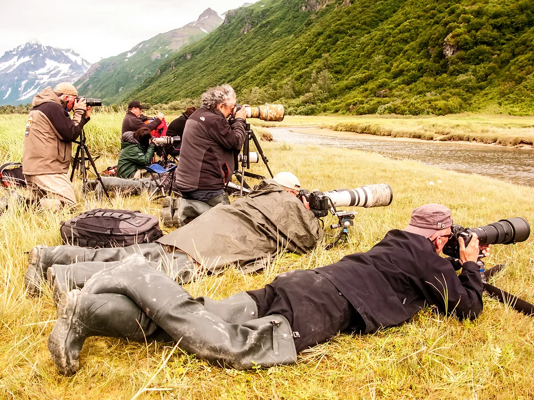 Katmai Wilderness Lodge   Bear Viewing in Alaska Wildlife Guides in Alaska