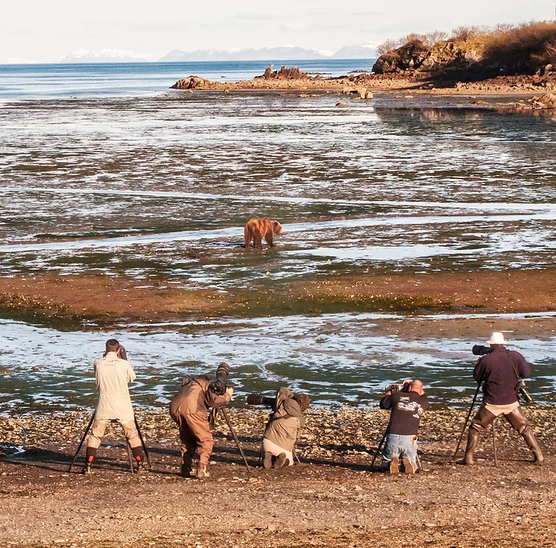 Katmai Wilderness Lodge   Bear Viewing in Alaska Wildlife Guides in Alaska