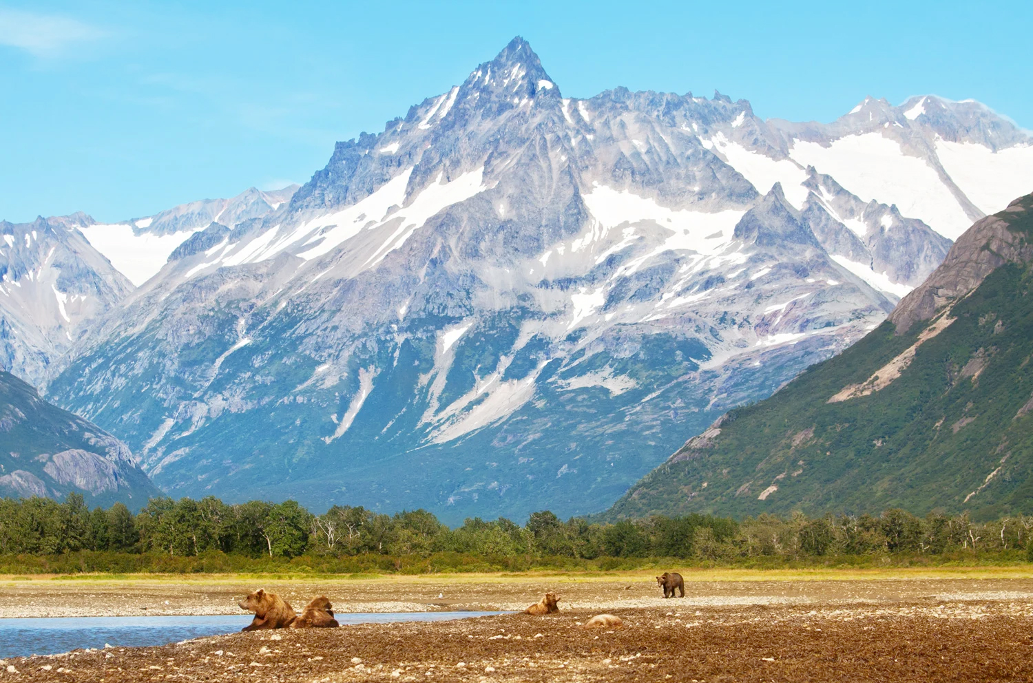 Katmai Wilderness Lodge   Bear Viewing in Alaska Wildlife Guides in Alaska