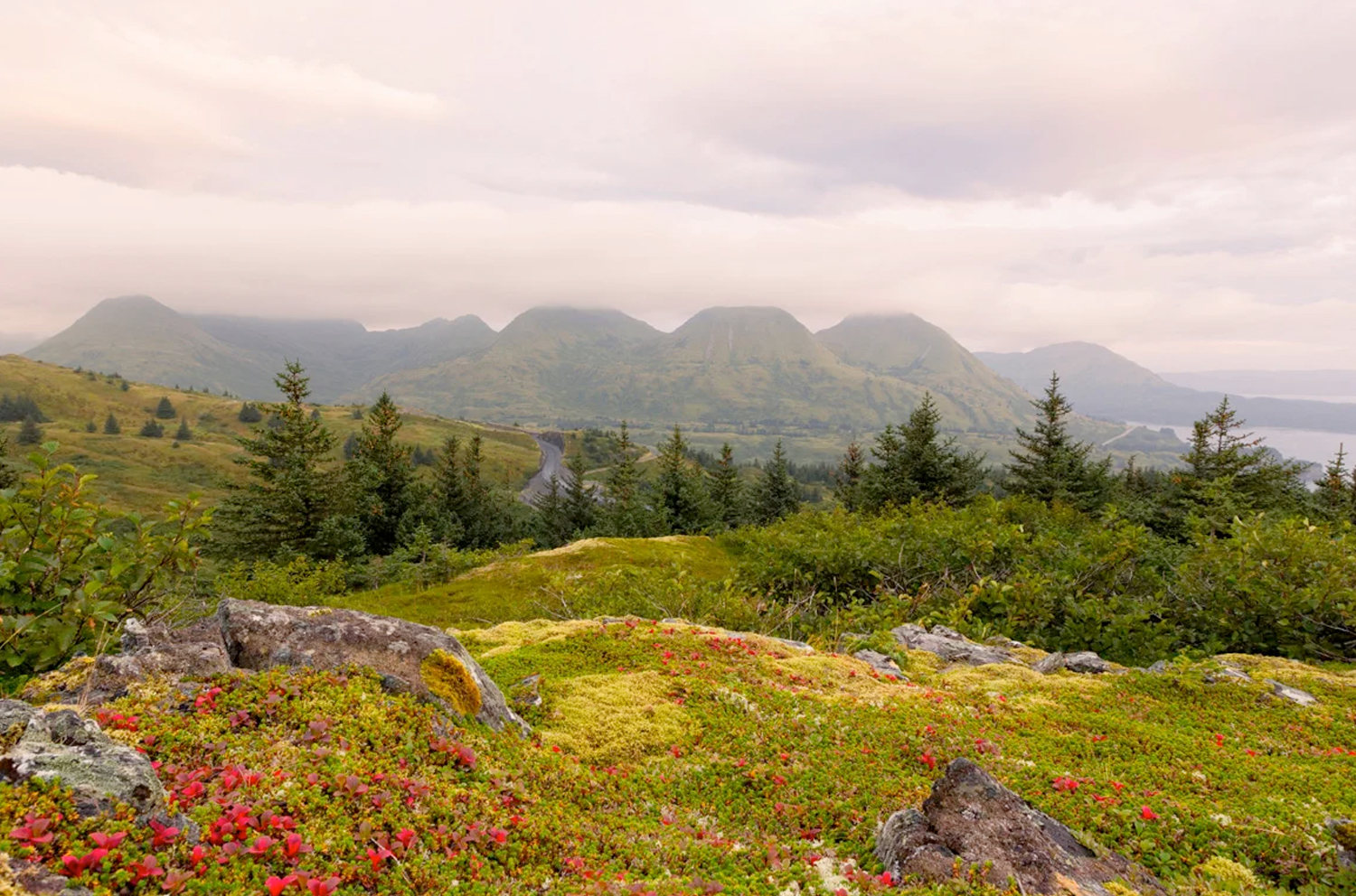Alaska Lodge Rates   Katmai Wilderness Lodge