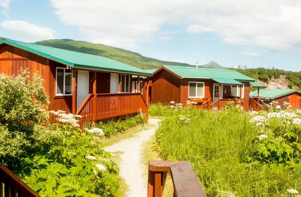 Bear Viewing in Alaska